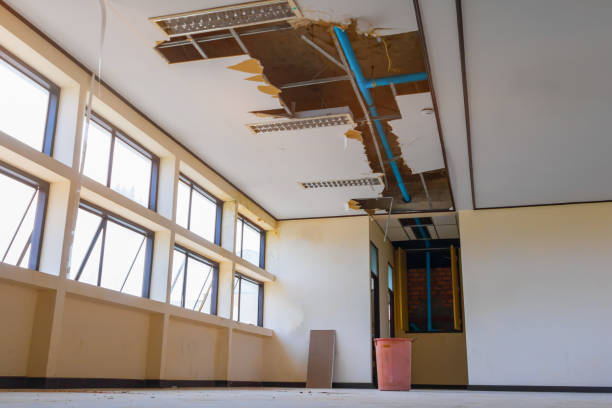 Trusted Bangor, MI Water damage restoration Experts