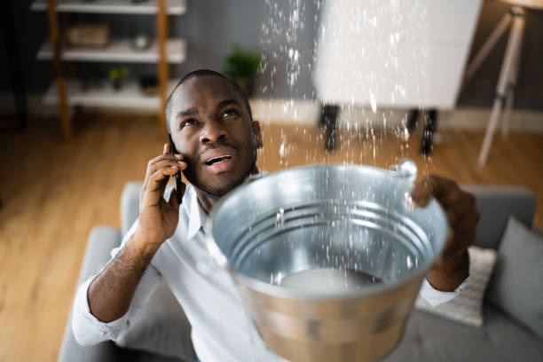 Best Flood restoration services  in Bangor, MI