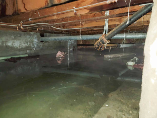 Best Water damage restoration process  in Bangor, MI