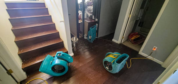 Water damage restoration insurance claims in Bangor, MI