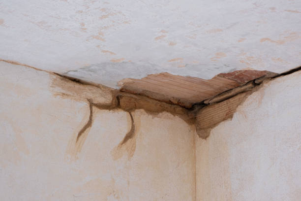 Best Water damage contractors near me  in Bangor, MI