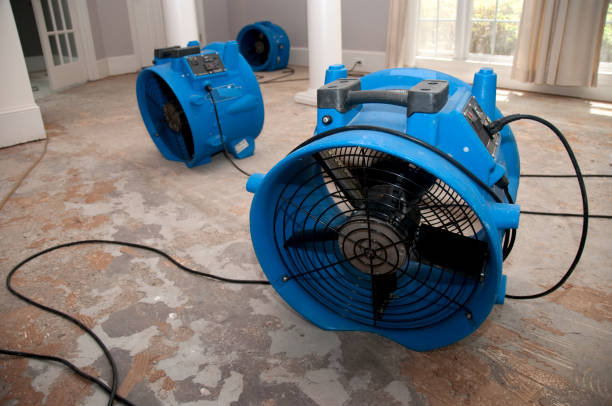 Water damage restoration experts in Bangor, MI