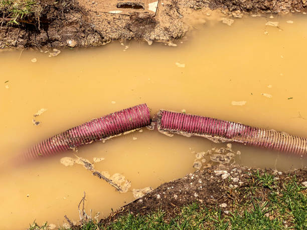 Best Basement water damage restoration  in Bangor, MI